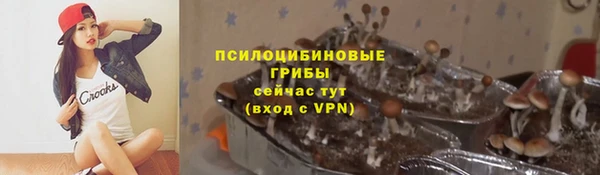 дурь Нязепетровск